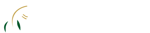 CARAMURU BORRACHAS